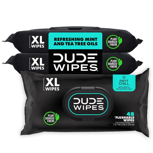 DUDE Wipes Mint Chill Adult Flushable Wet Wipes, Refreshing, 144 Count