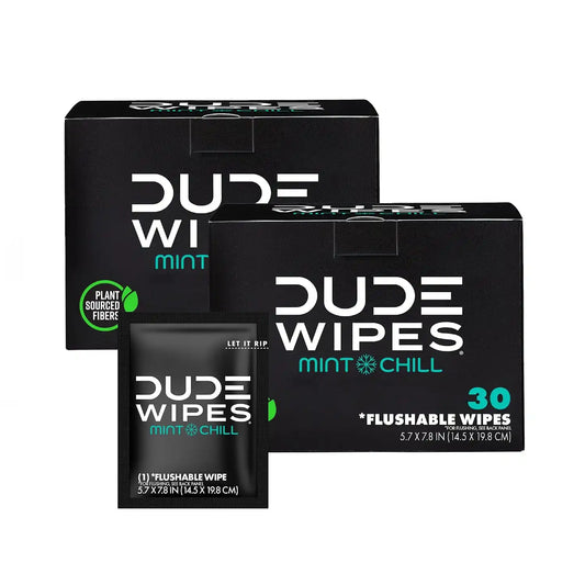 DUDE Wipes On-The-Go Mint Chill Adult Flushable Travel Wipes, 60 Count