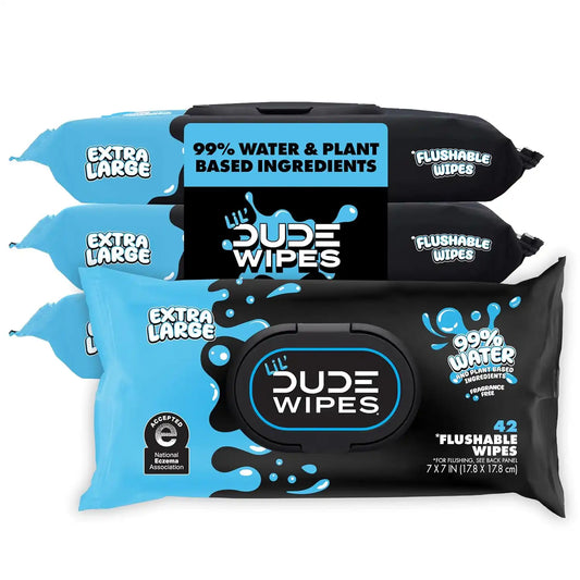 LiL' DUDE Wipes Flushable Potty Training Water Wipes, Unscented, 168 Count