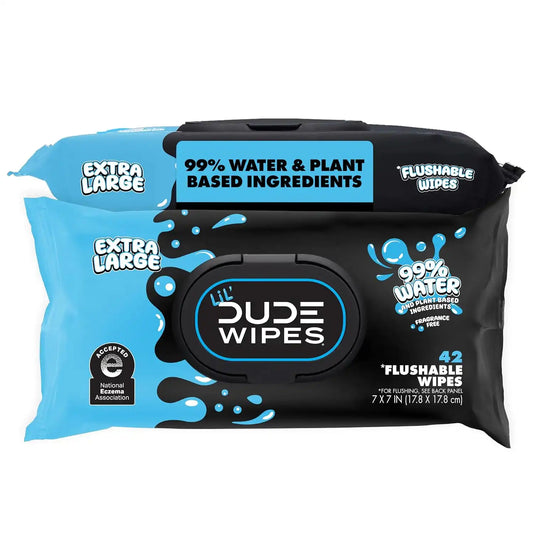 LiL' DUDE Wipes Flushable Potty Training Water Wipes, Unscented, 84 Count