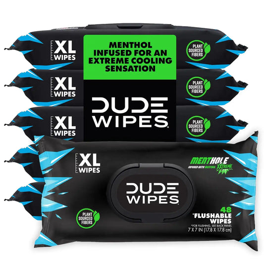 DUDE Wipes MentHOLE XXtreme Adult Flushable Wet Wipes, Cooling, 288 Count