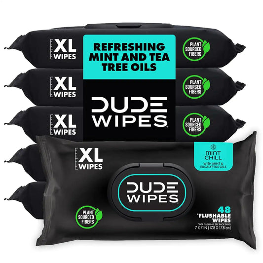 DUDE Wipes Mint Chill Adult Flushable Wet Wipes, Refreshing, 288 Count