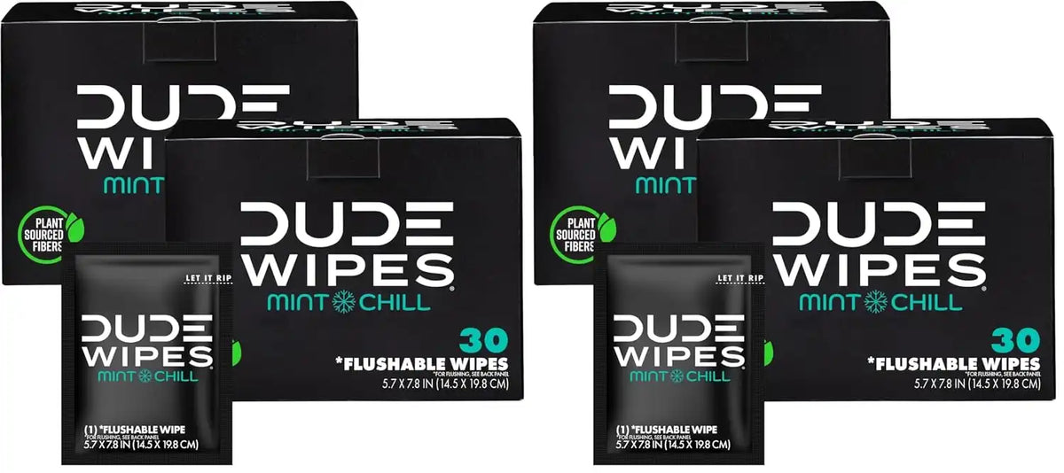 DUDE Wipes On-The-Go Mint Chill Travel Wipes-Extra-Large Adult Flushable Wipes - Infused with Tea Tree Oil, Vitamin E, and Aloe - Septic and Sewer Safe,30 Count (Pack of 4)