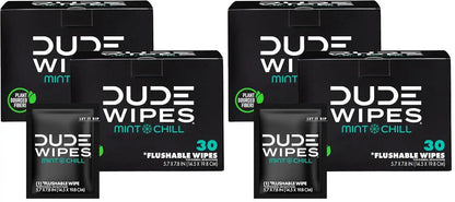 DUDE Wipes On-The-Go Mint Chill Travel Wipes-Extra-Large Adult Flushable Wipes - Infused with Tea Tree Oil, Vitamin E, and Aloe - Septic and Sewer Safe,30 Count (Pack of 4)