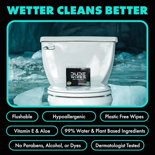 DUDE Wipes On-The-Go Mint Chill Adult Flushable Travel Wipes, 60 Count