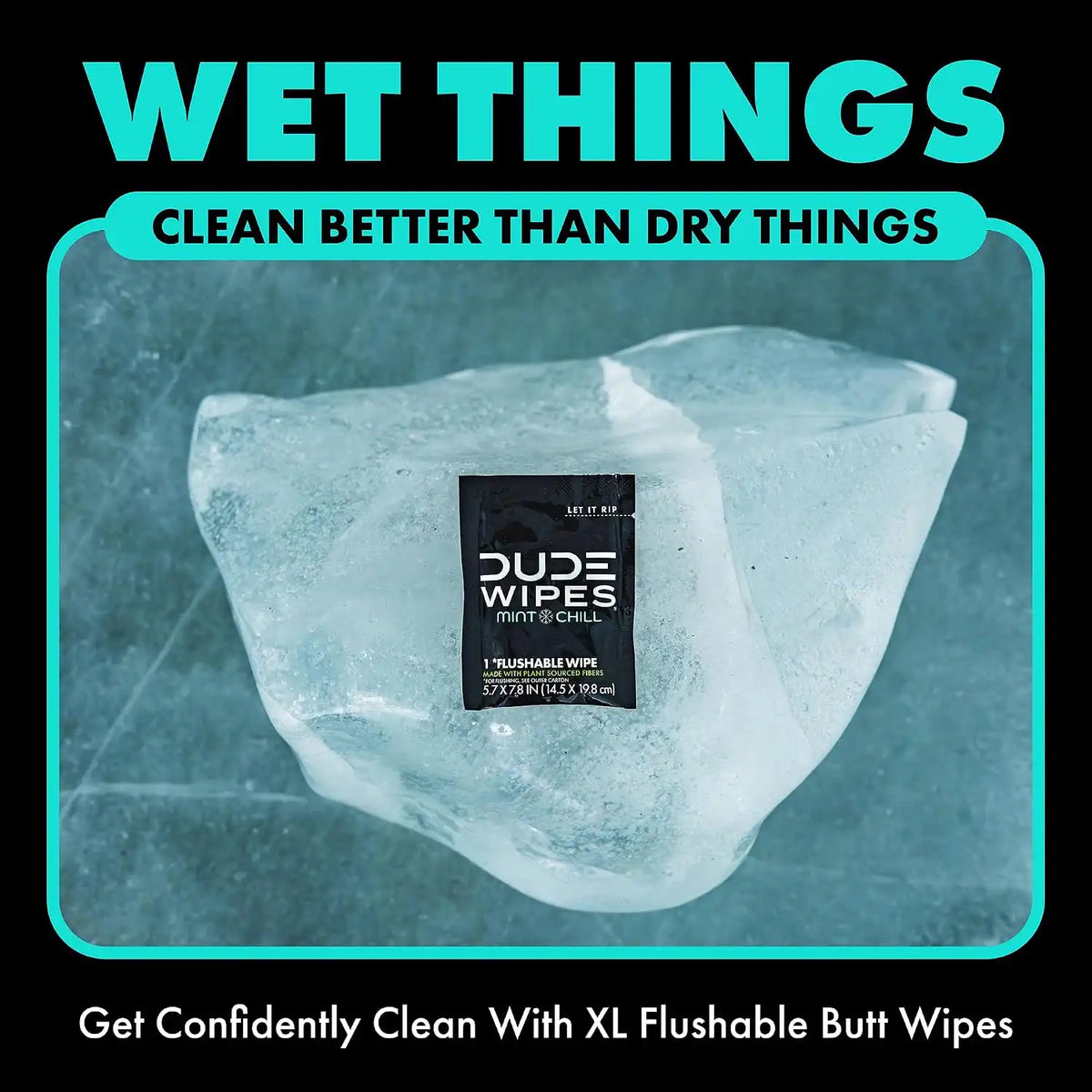 DUDE Wipes On-The-Go Mint Chill Travel Wipes-Extra-Large Adult Flushable Wipes - Infused with Tea Tree Oil, Vitamin E, and Aloe - Septic and Sewer Safe,30 Count (Pack of 4)