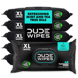 DUDE Wipes Mint Chill Adult Flushable Wet Wipes, Refreshing, 288 Count