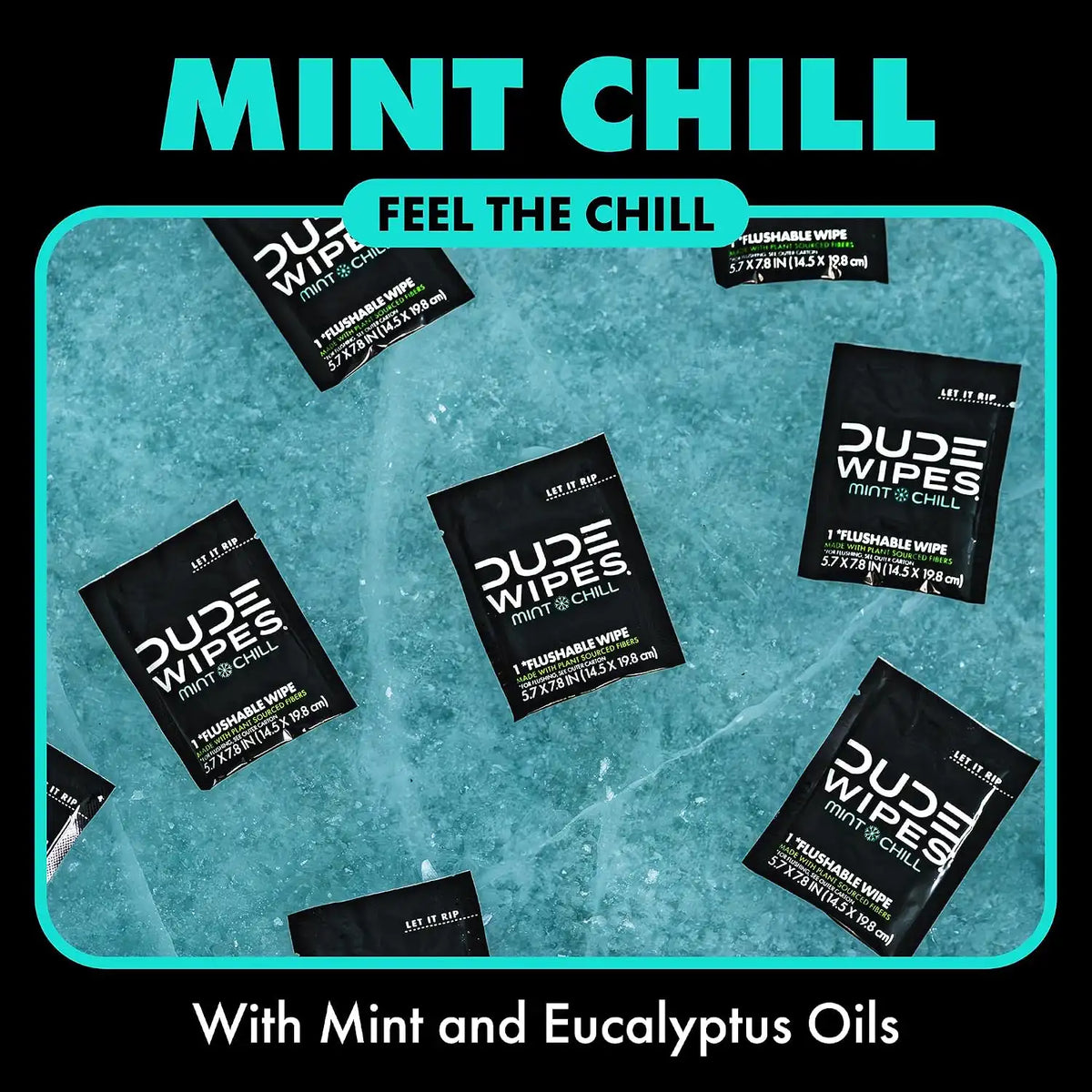 DUDE Wipes On-The-Go Mint Chill Travel Wipes-Extra-Large Adult Flushable Wipes - Infused with Tea Tree Oil, Vitamin E, and Aloe - Septic and Sewer Safe,30 Count (Pack of 4)