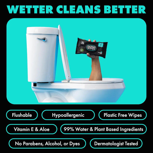 DUDE Wipes, 48 Wipes, 2 Pack | Flushable | Mint Chill | Extra-Large | Eucalyptus & Tea Tree Oil
